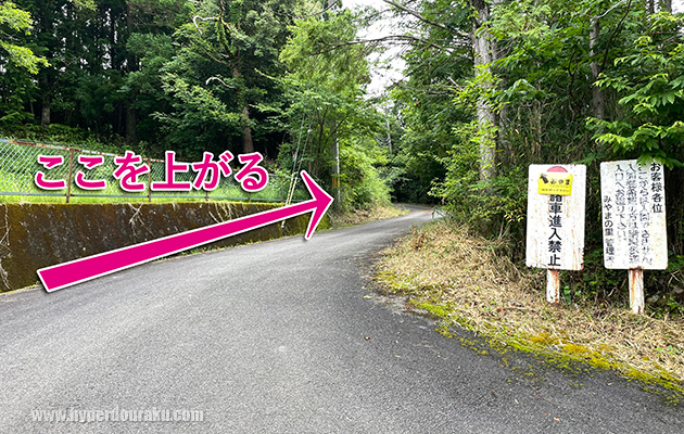 フィールド入り口