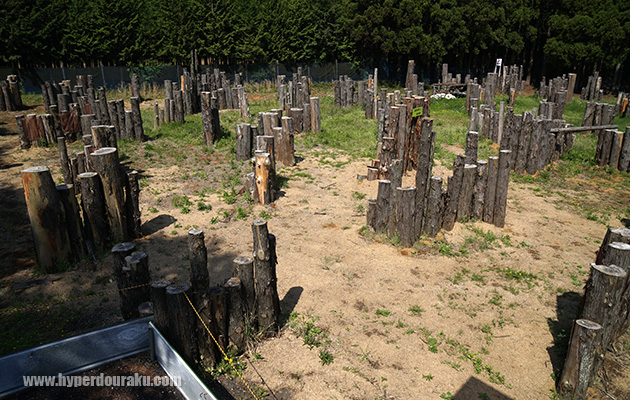 丸太の高さは様々