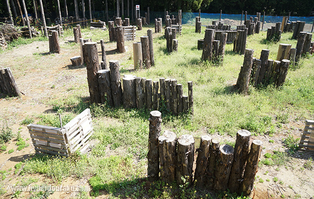 櫓2FからGフラッグ方向