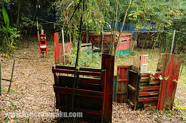 レッドフラッグ 斜面上部