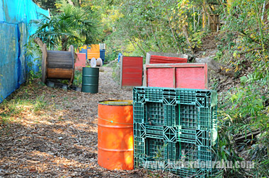 バンブージャングル フラットな通路