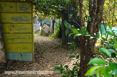 色分けされた特徴的な障害物