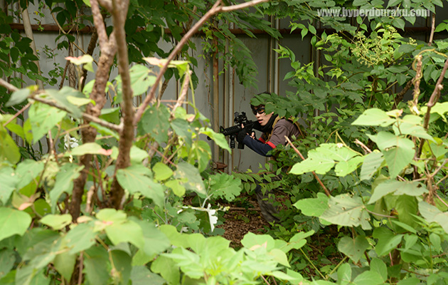 フィールド脇のブッシュ