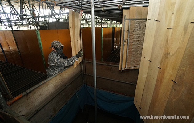 フラッグシステム