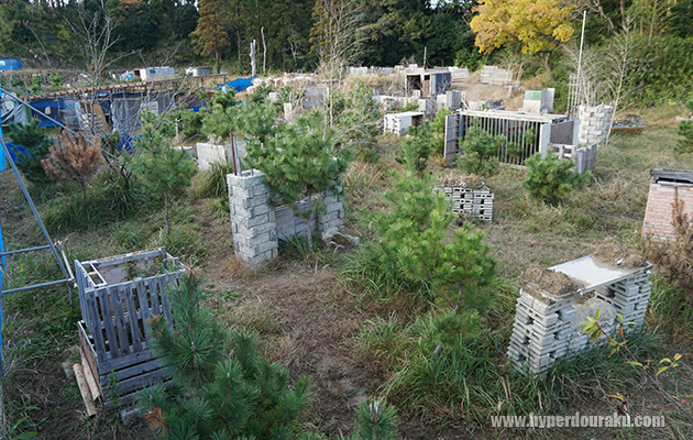 アクセス至便の箱庭的フィールド