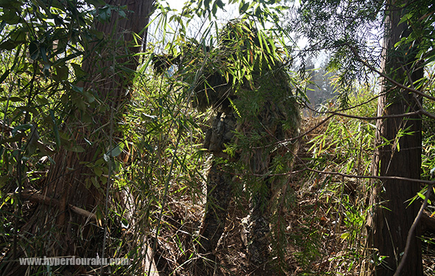 ルートのブッシュ