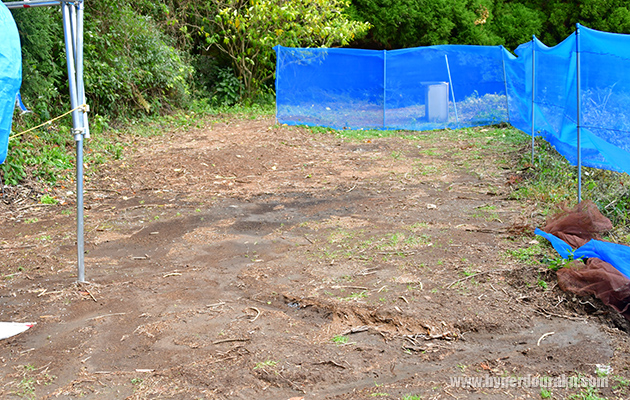 セーフティエリア