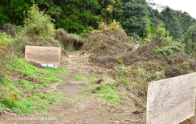 オーナー自らが開墾