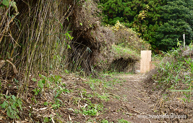 奥のバリケードとの比較