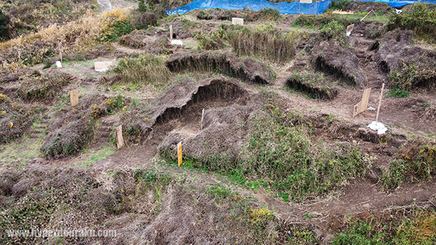 起伏溢れるフィールド