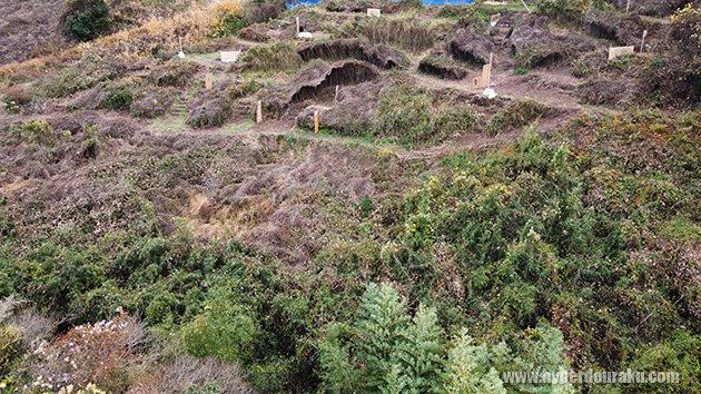 フィールド奥地