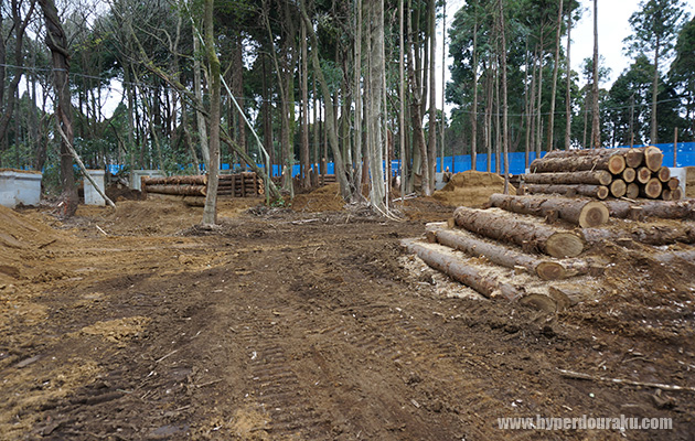 遠距離を狙える広いエリア