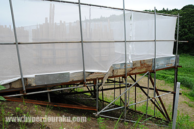 フィールドが天空の城