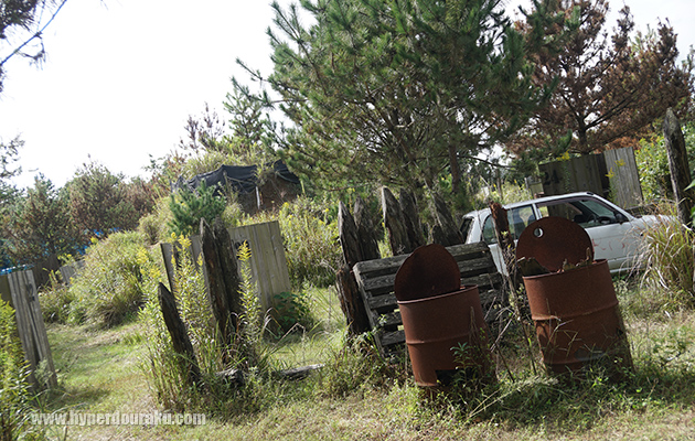 ブッシュも濃く