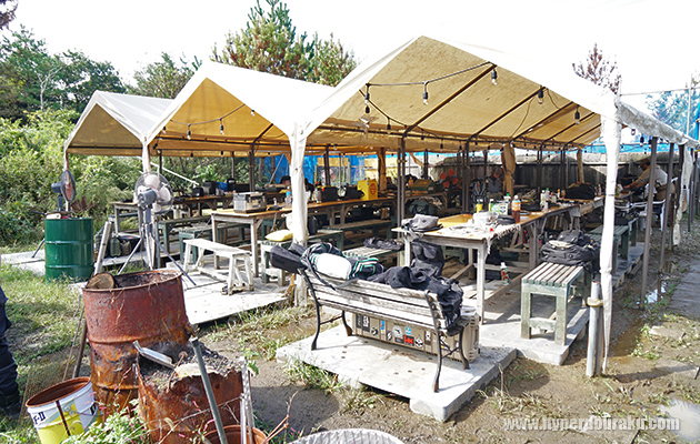 セフティは約70席