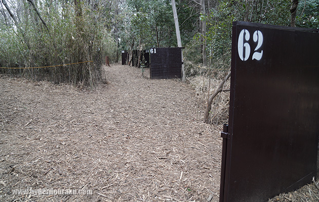 スズタケに囲まれた裏ルート