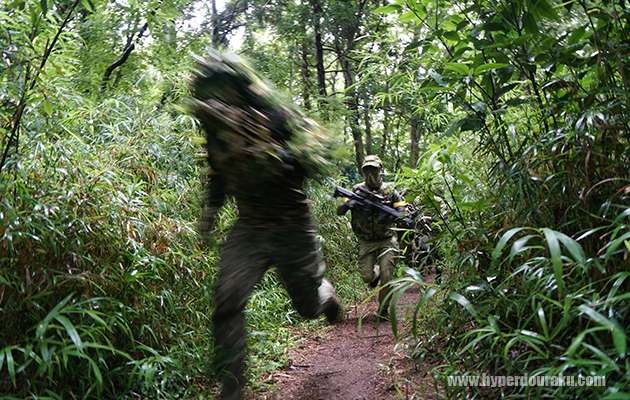 笹やぶが迷路状