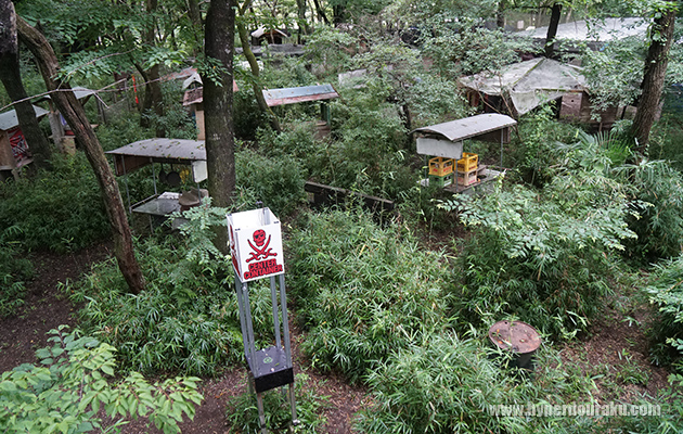 フラットな森林フィールド