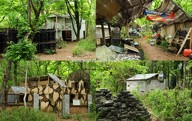 千葉県の、シールズ