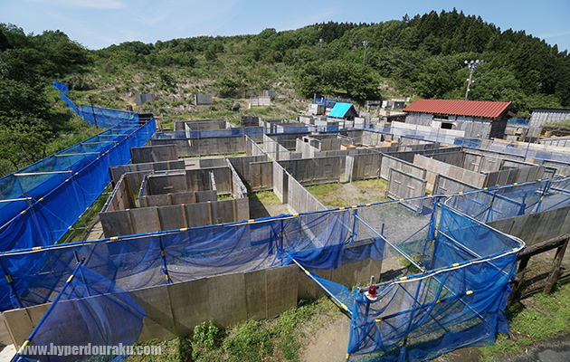 サントピア タクティカル グラウンド