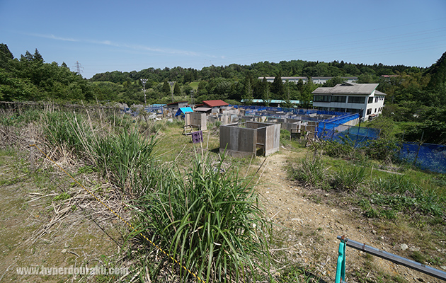 フィールド奥側は斜面