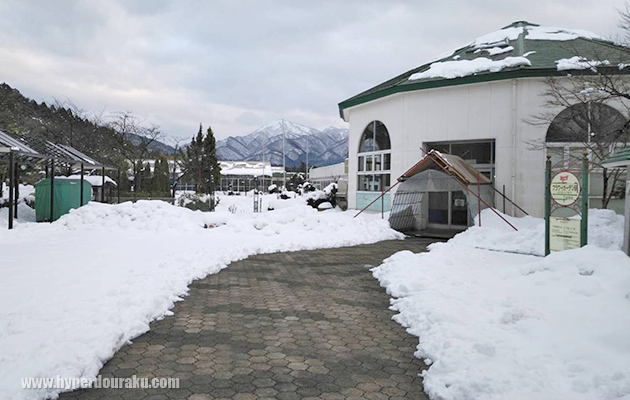 冬場はこれくらい雪が積もる