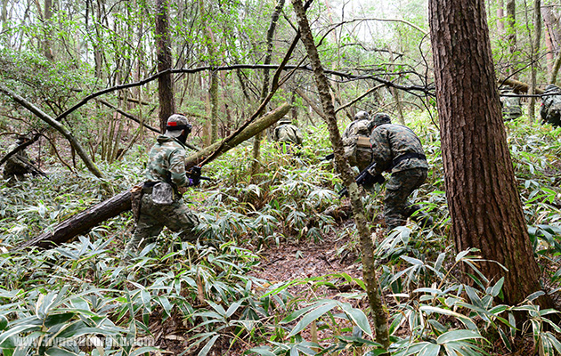 熊笹をかき分けて進軍