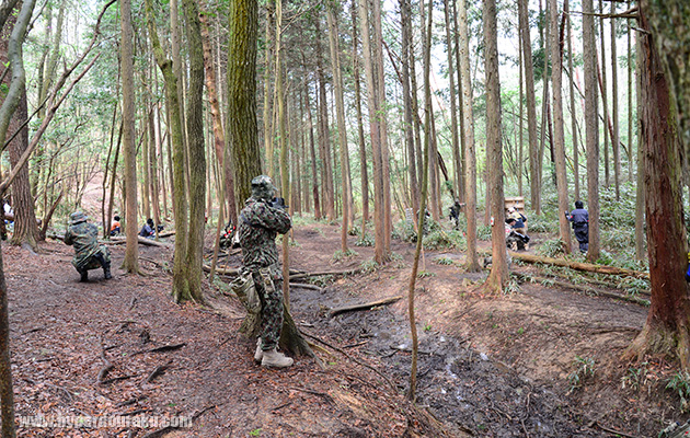 意外性があるのも面白い
