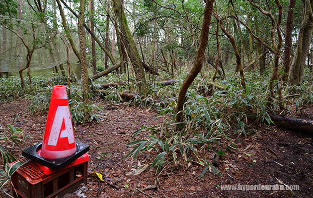 ブッシュマスター