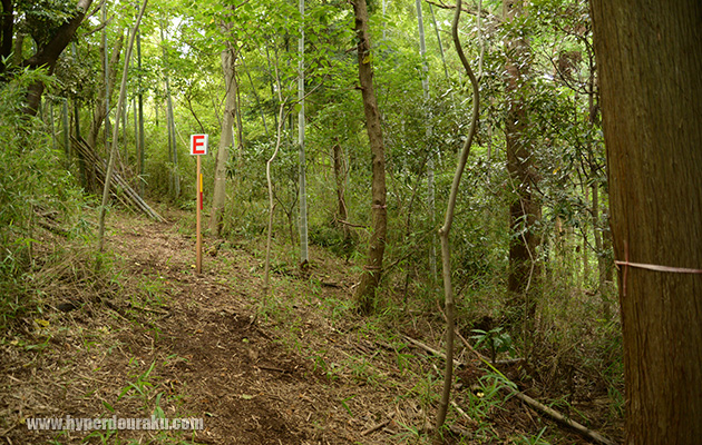 11本のフラッグ