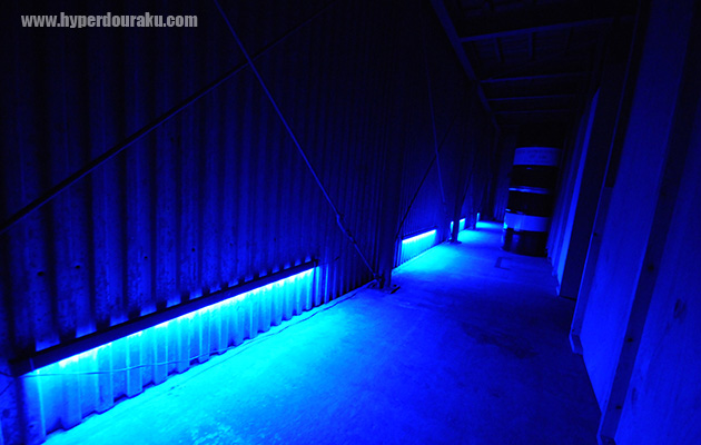 ローライト環境下