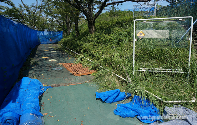 トレーニングエリア