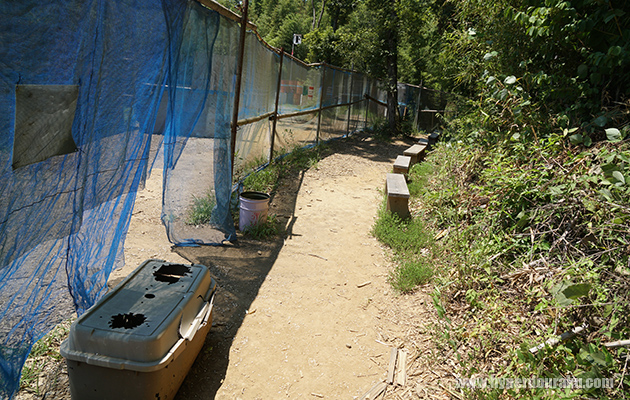 デッドウォーク