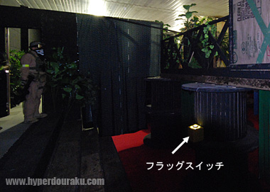 フラッグはスイッチ式