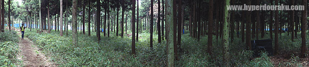 見通しが良いフィールド