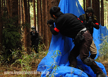 フィールドをブルーネットで二分