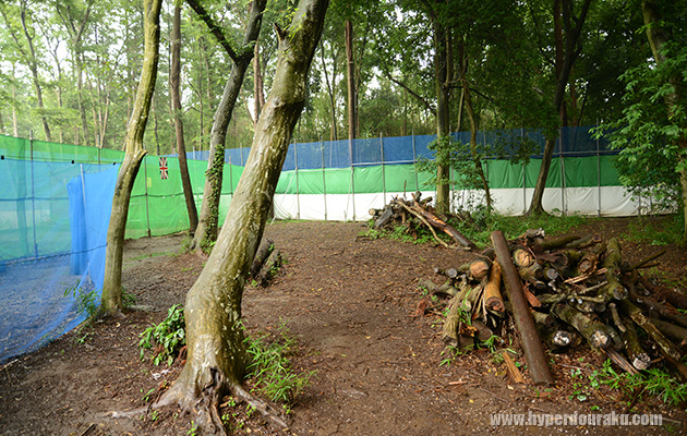 イギリスフラッグ近辺