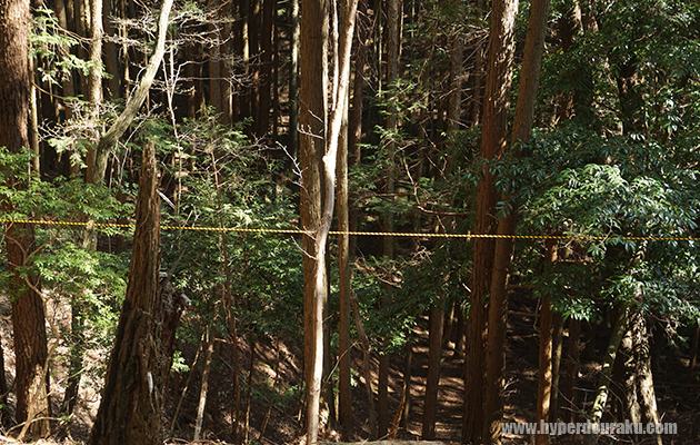 ゲームエリアの端