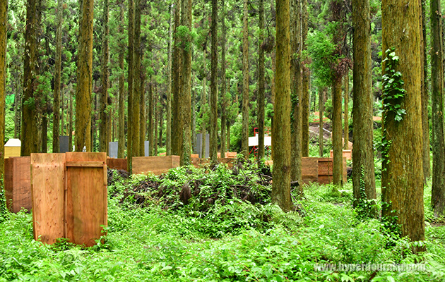 バラエティ豊かなゲームが可能