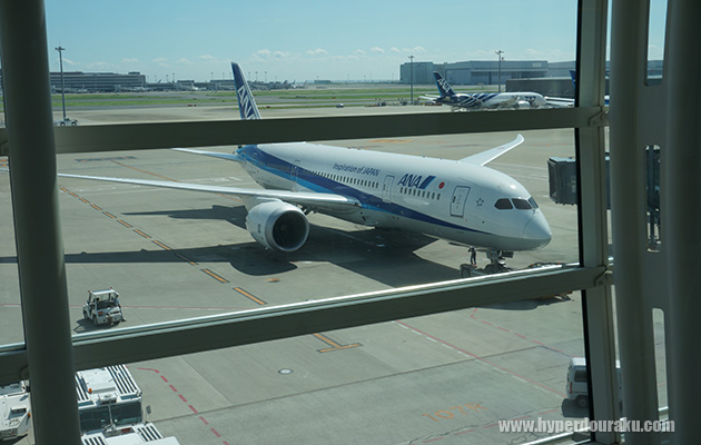 ANAの787-8