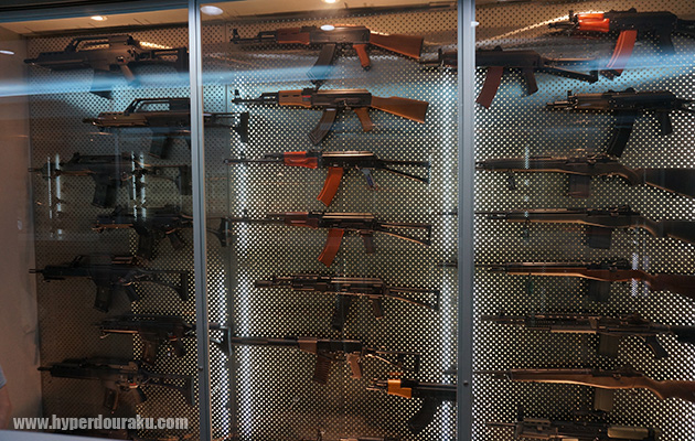 AK、G36、M14など