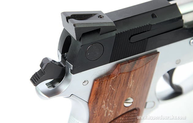 M745のリアサイト