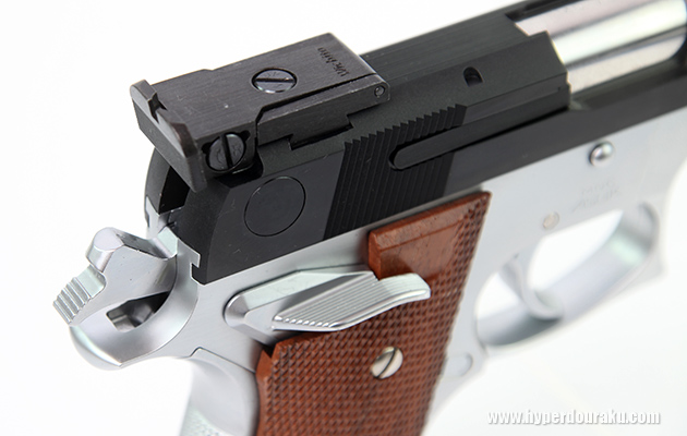 M745ピンポインターのリアサイト