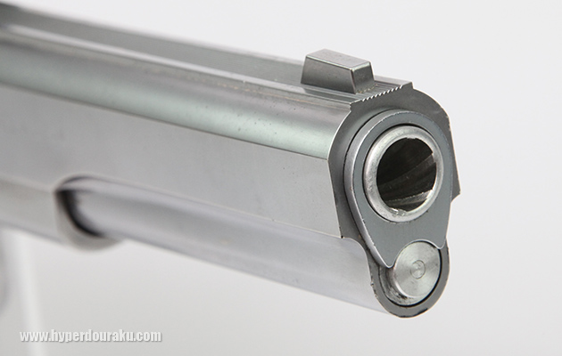 ダミーのライフリング